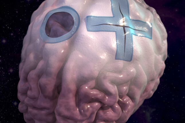 illustration of the brain with the dural tough adhesive on it